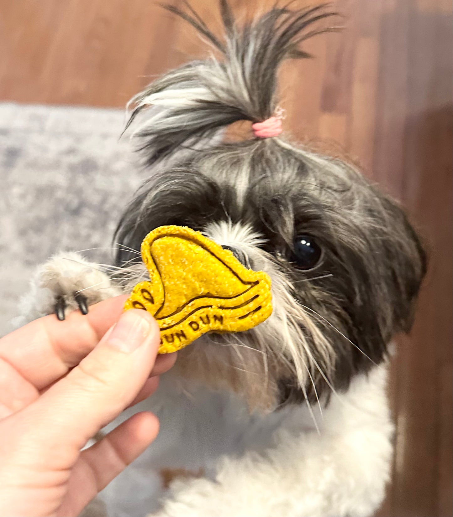 “Dun Dun” Shark Fin Treats🦈