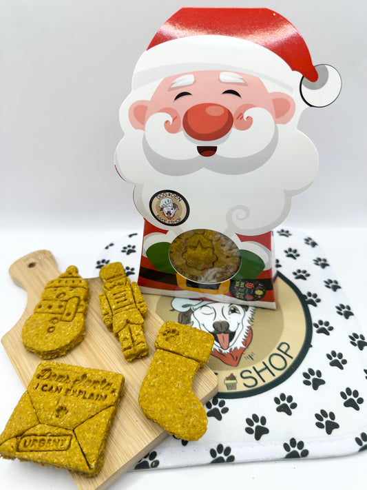 Santa Gift Box