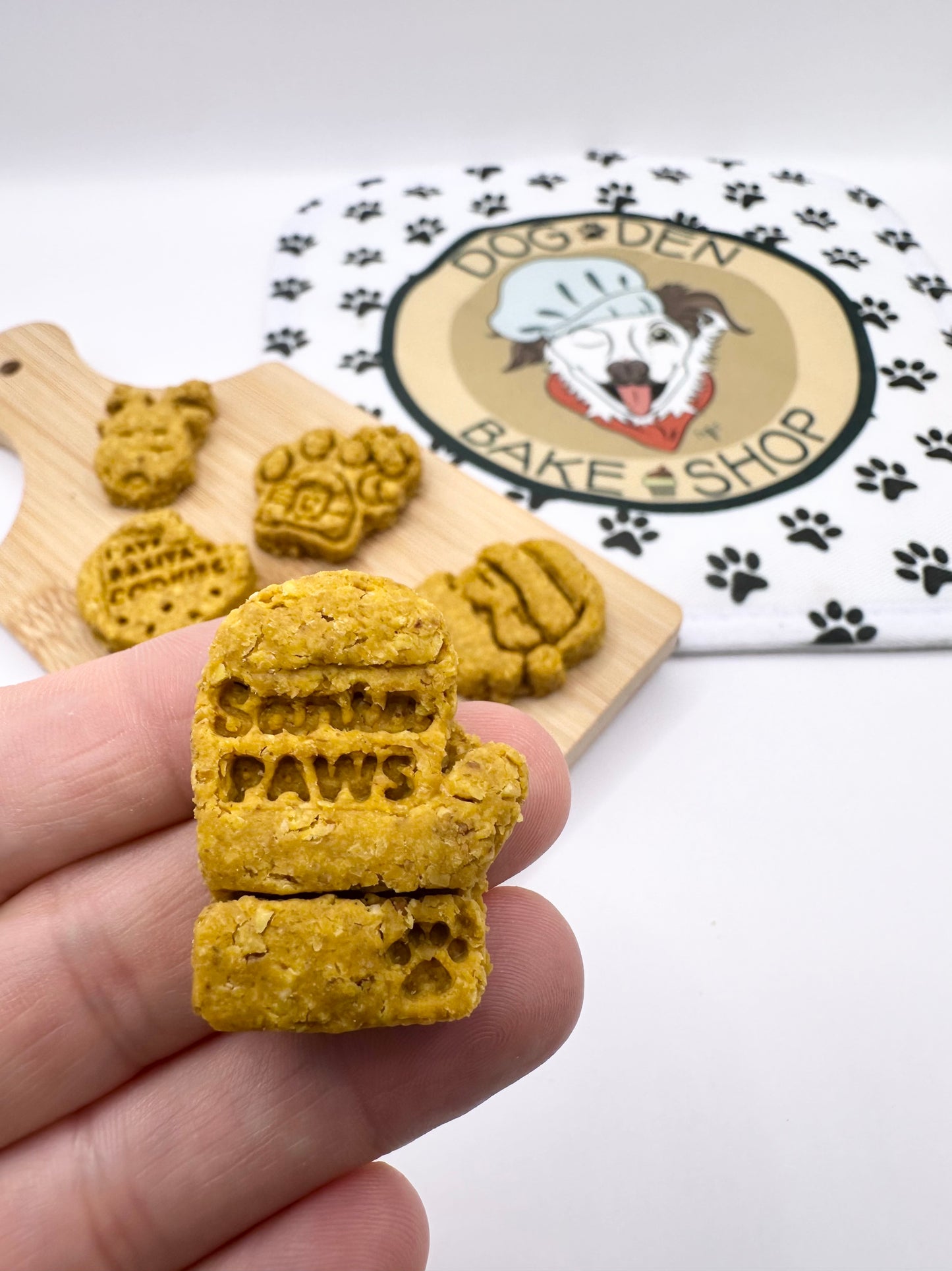 Christmas Snow Globe