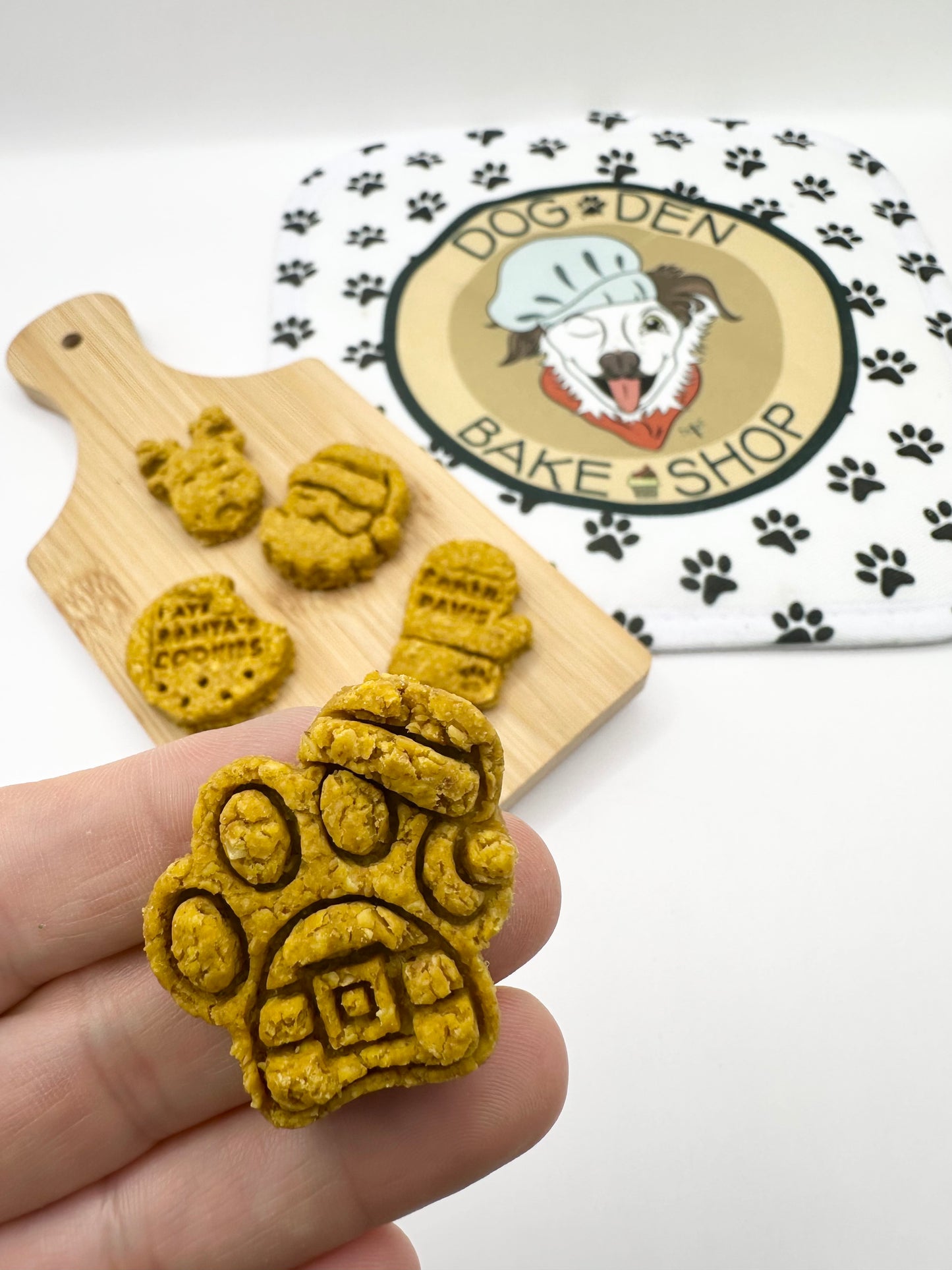 Christmas Snow Globe