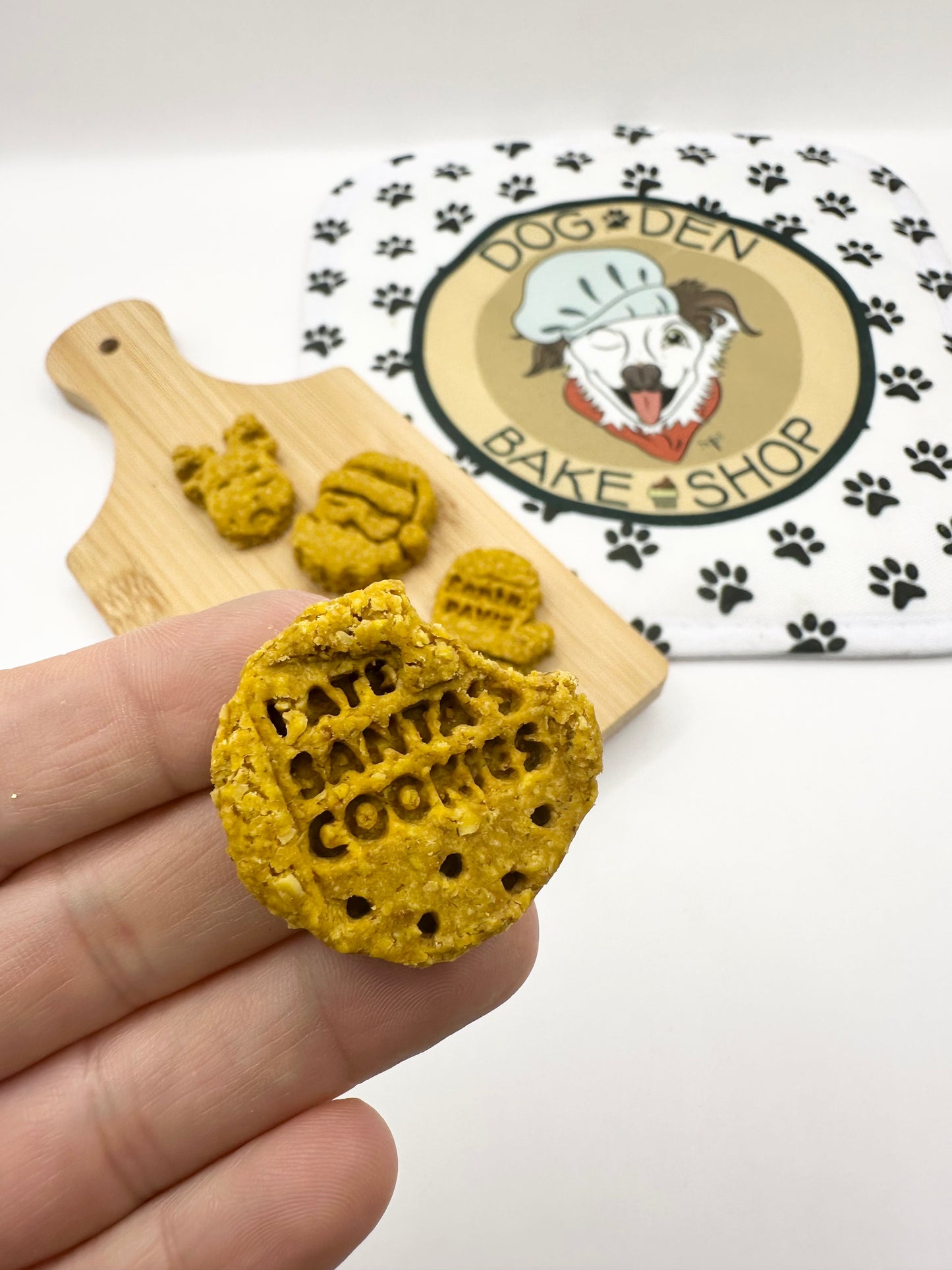 Christmas Snow Globe