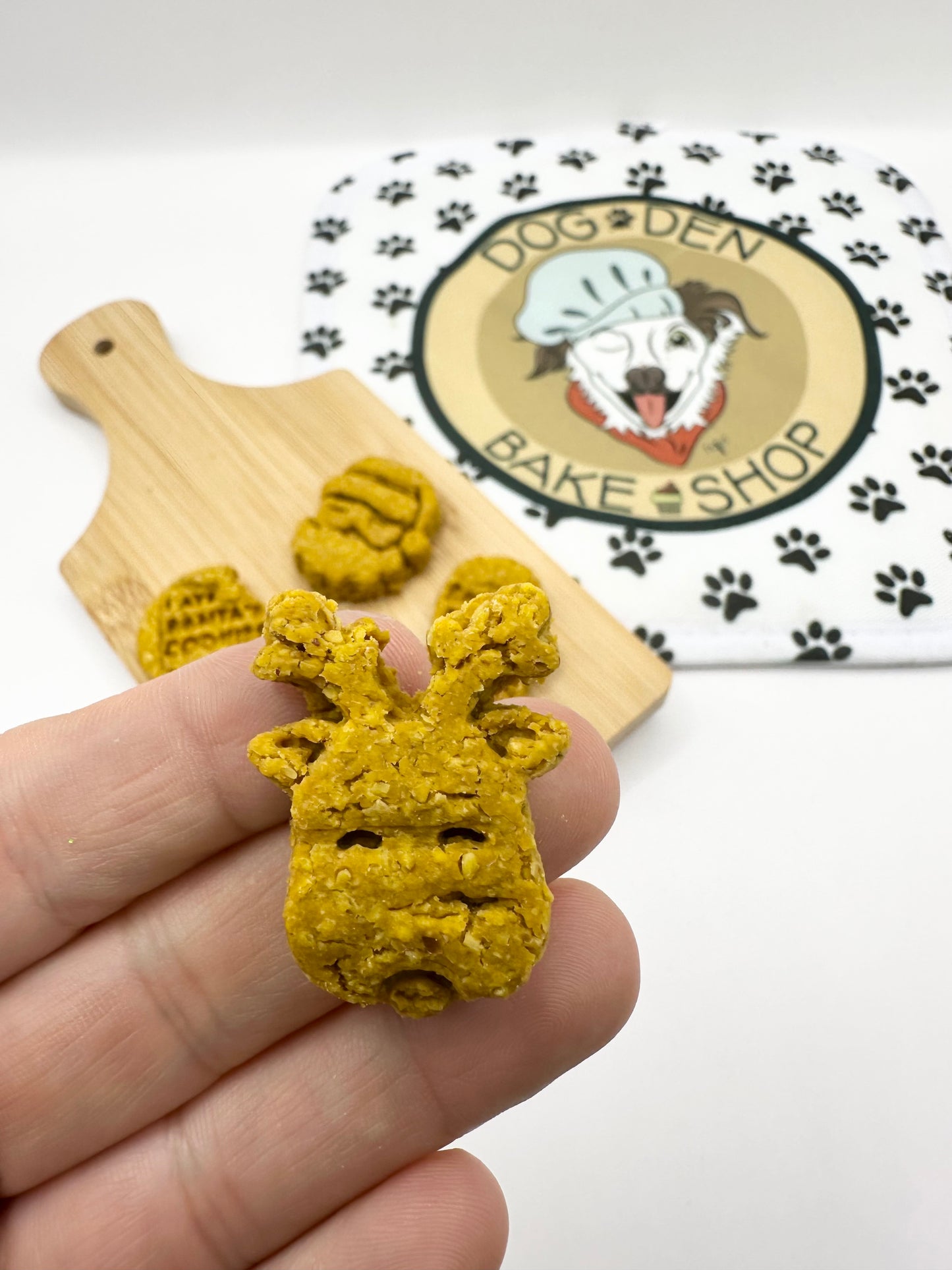 Christmas Snow Globe