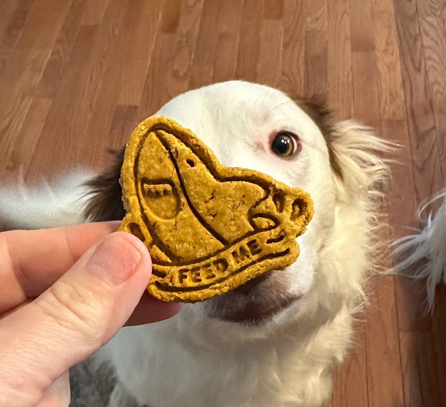 Jaw-some Shark Treats