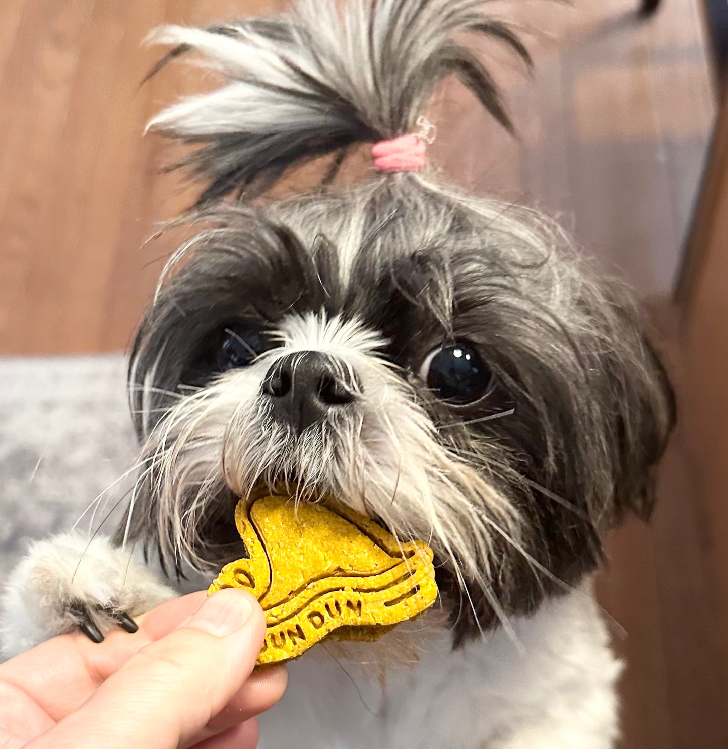 “Dun Dun” Shark Fin Treats🦈