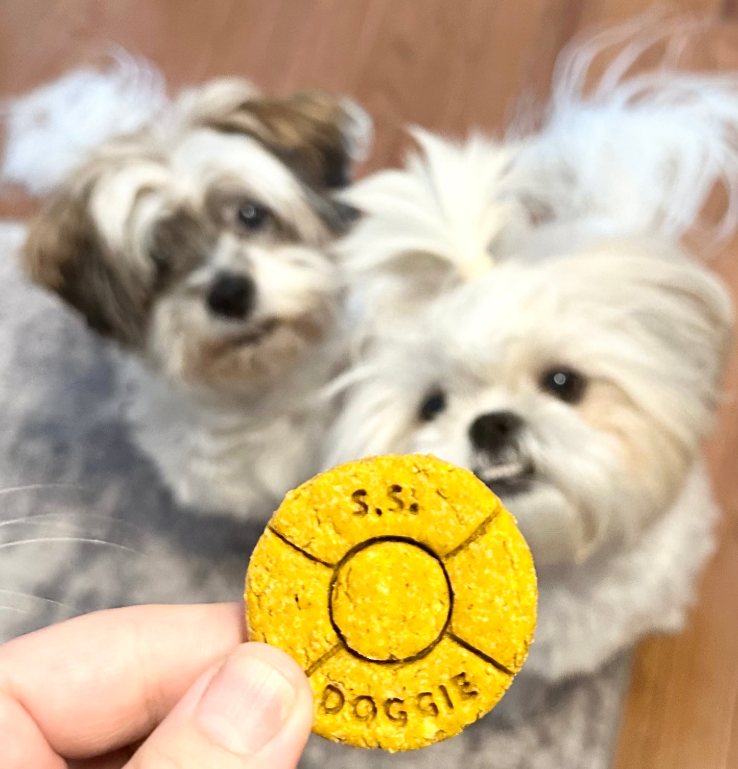 "Bark Week" Boat Life Preserver Ring Cookie